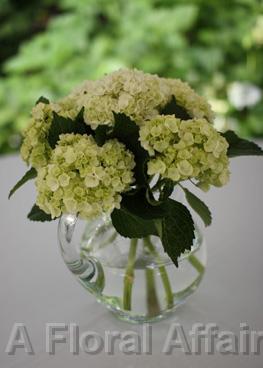 RF0311-Low Green Hydrangea Centerpiece