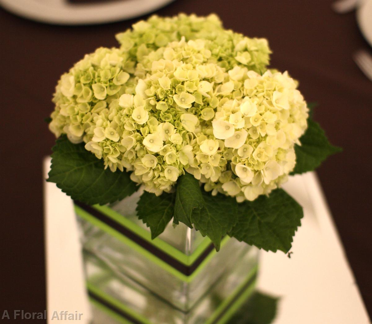 RF0464-Green Hydrangea Centerpiece