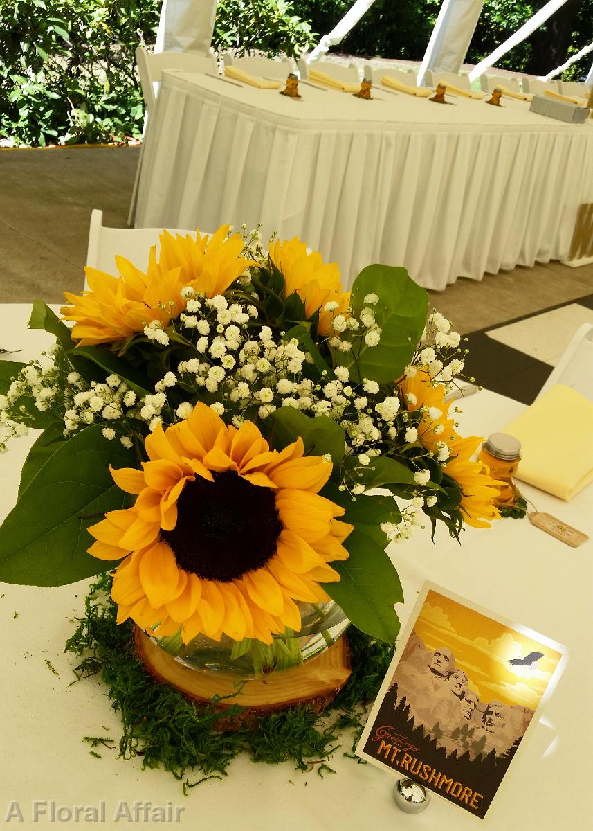 RF1213-Sunflower and Baby's Breath Centerpiece edited-1