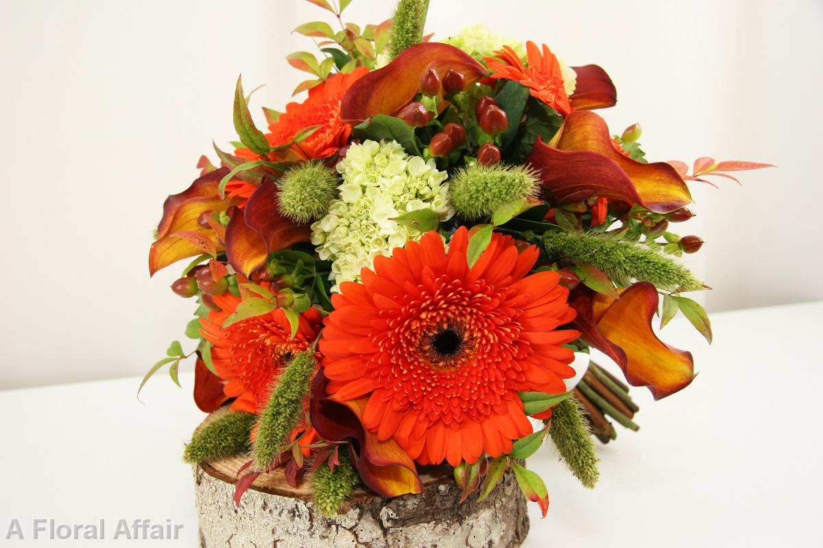 BB0916A-Fall Gerbera Daisy Bouquet