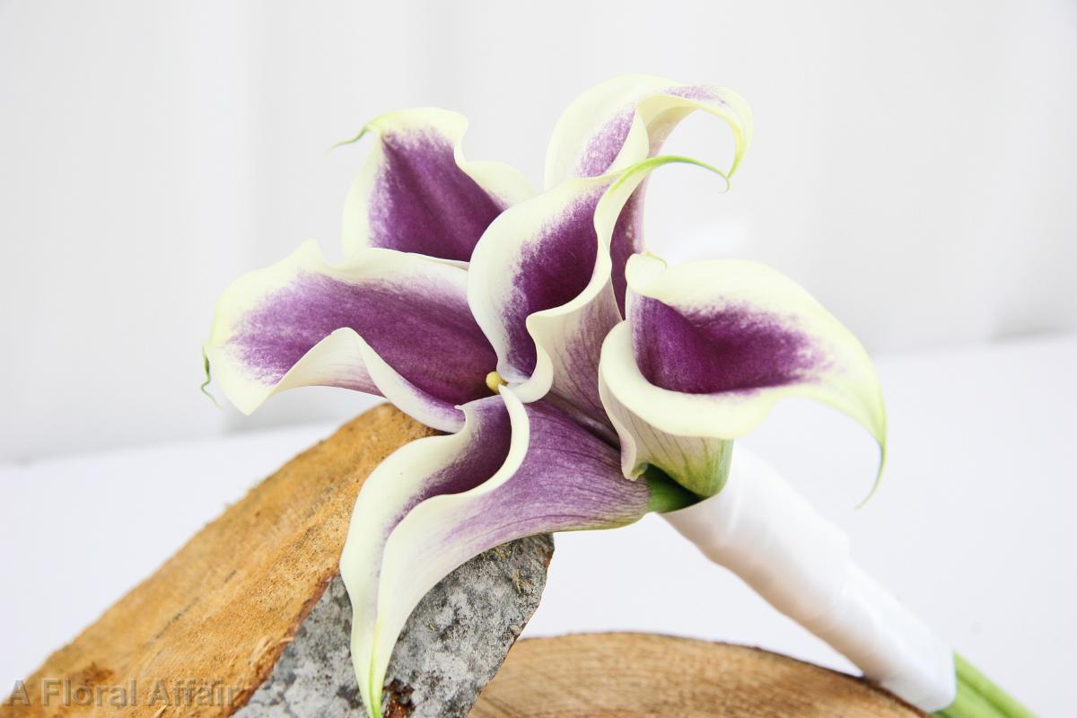 BB0758-Picasso Mini Calla Bouquet