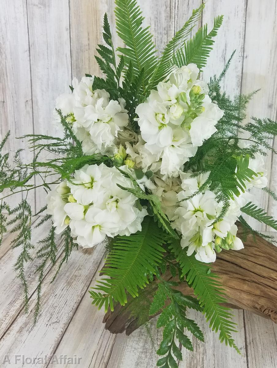 BB1462-Simple White Stock and Fern Bridesmaids Bouquet