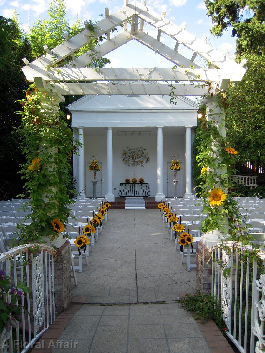 AM0359-Sunflower Ceremony and Aisle Flowers