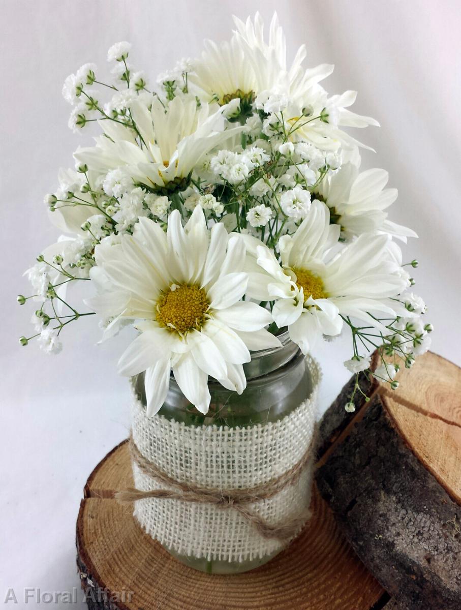 RF1186-Simple White Daisies and Baby's Breath Mason Jar Centerpiece-AFA-Laptop