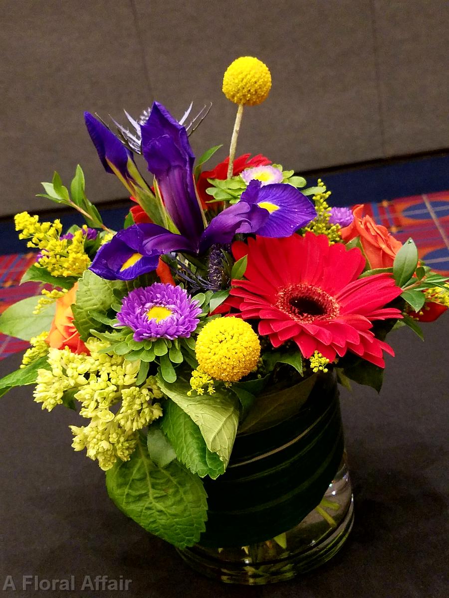 RF1364-Primary Color Centerpiece