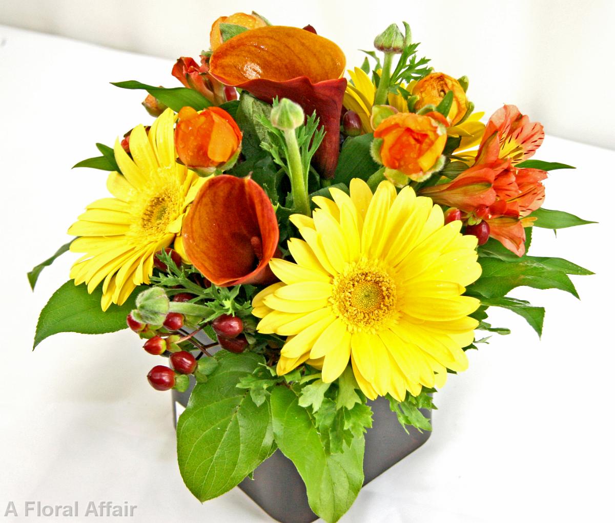 HD7069-Low Orange, Rust and Yellow Arrangement