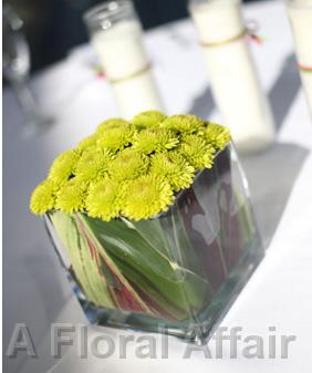 RF0309- Green Button Mum Centerpiece