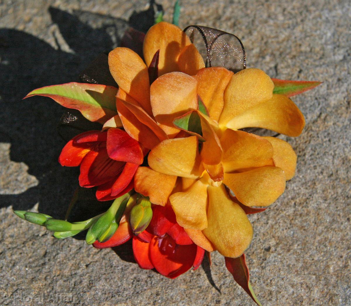 BF0581-Fall Orchid and Freesia Corsage