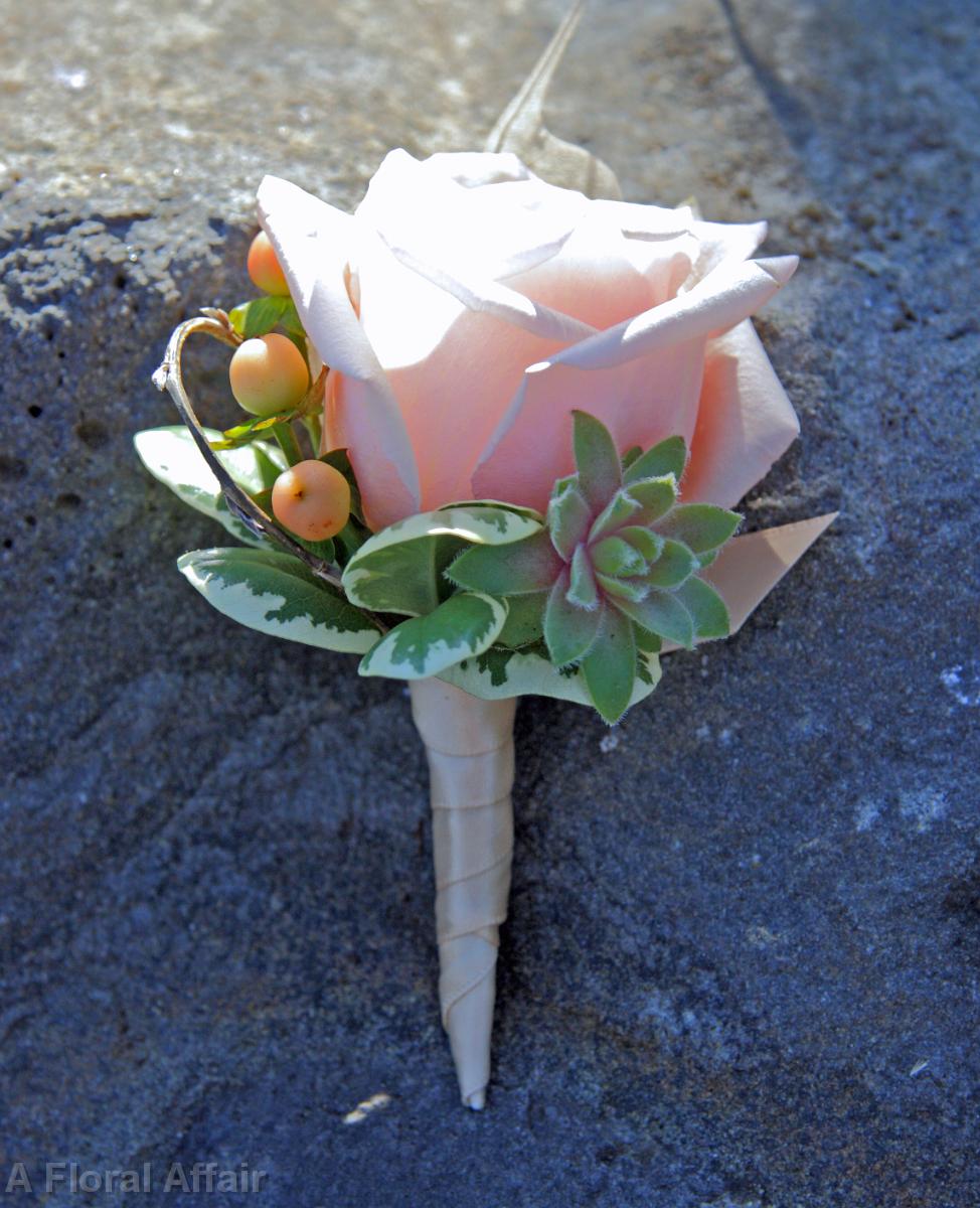 BF0577-Peach and Succulent Boutonniere