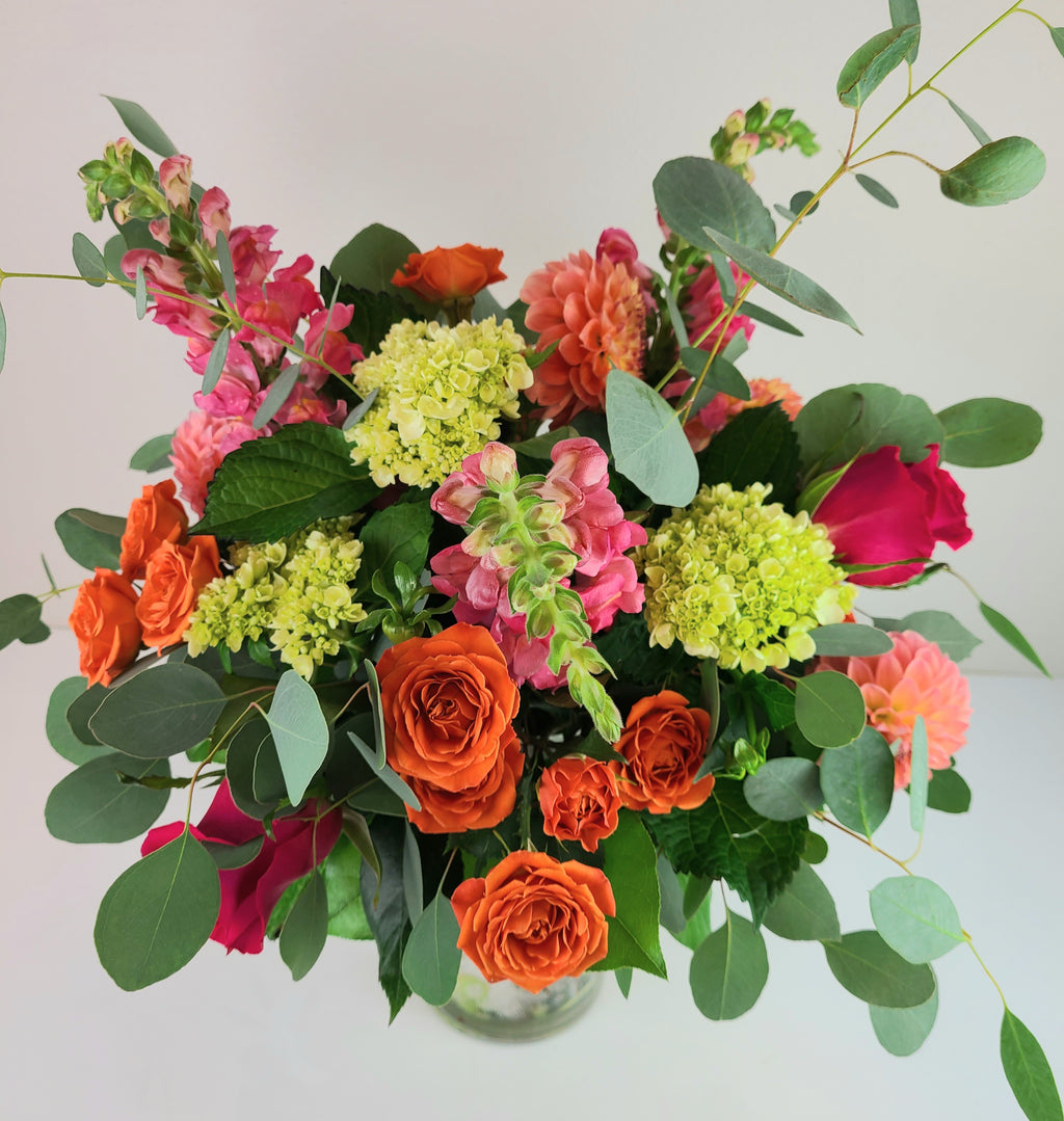 Bright and Bold Designers Choice