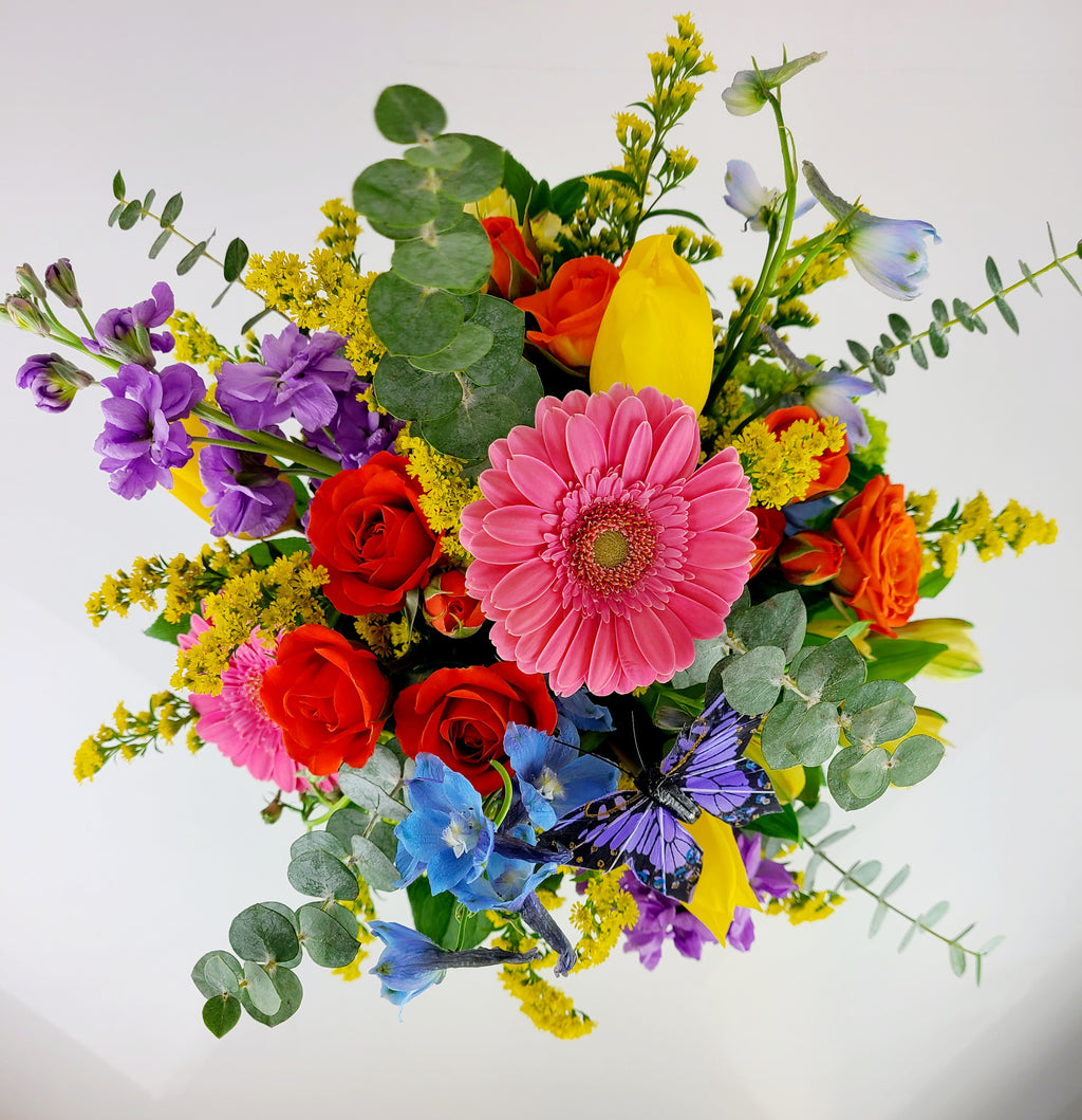 Bright and Bold Designers Choice